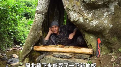 男人在树洞里搭建庇护所，徒手做出旋转楼梯，独自享受荒野生活