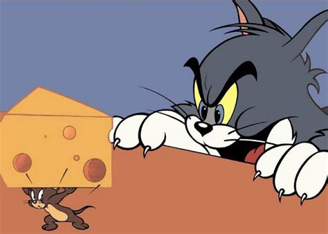 猫和老鼠动漫卡通人物高清图片 - 5068儿童网