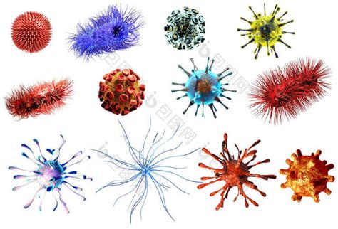 “新冠”疫情中的病毒与细菌你分辨的清楚吗?_肠道