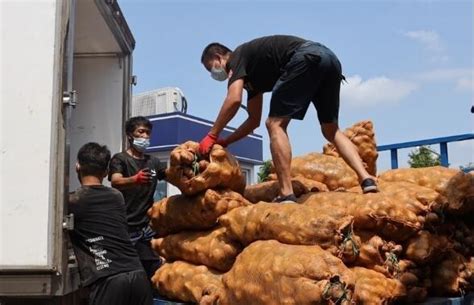 “来了！来了！”19吨帮扶销售的凉山土豆首次运到宁波