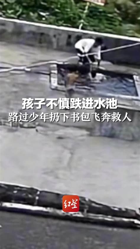 孩子不慎跌进水池，过路少年扔下书包飞奔而来，成功将孩子救上岸_凤凰网视频_凤凰网
