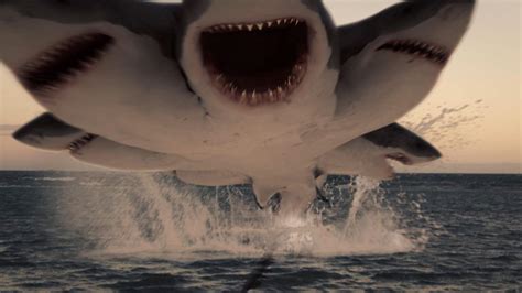 鲨鱼攻击人类的恐怖瞬间- 中国日报网