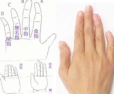 手指的弯曲反应了性格的好坏，看每根手指的弯曲代表什么样的性格|性格|手指|无名指_新浪新闻