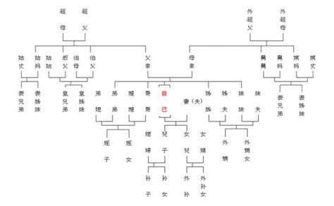 简单家族谱系图,怎么画,树状图(第2页)_大山谷图库
