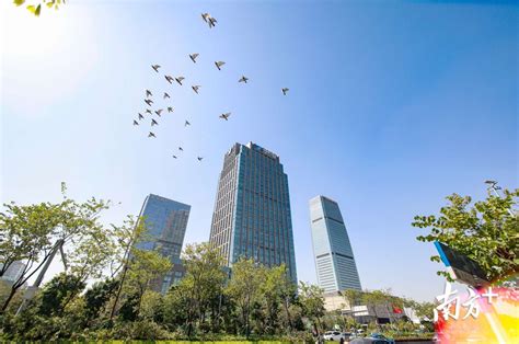广州市白云区推出6项惠企政策 助力企业发展_广东频道_凤凰网