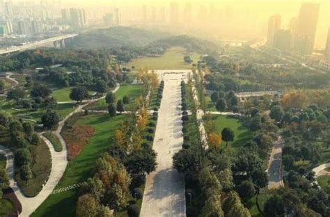 2021龙头寺公园-旅游攻略-门票-地址-问答-游记点评，重庆旅游旅游景点推荐-去哪儿攻略