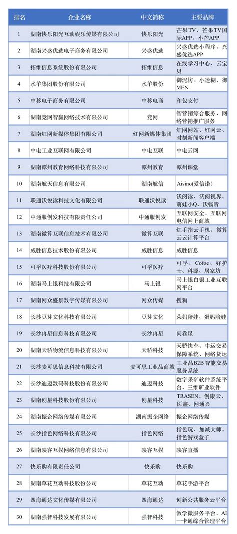 2019年湖南省互联网企业50强名单-长沙软件公司