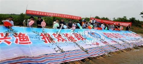 安徽安庆：泊湖增殖放流 促进渔民增收-人民图片网