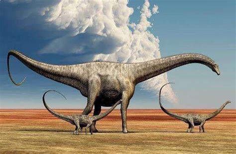 世界最长恐龙：梁龙 最长超过30米(光尾巴就长达14米)_探秘志