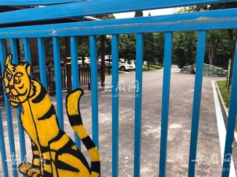 安徽蚌埠一动物园饲养员遭老虎袭击身亡 颈头背部均有明显咬伤_手机新浪网