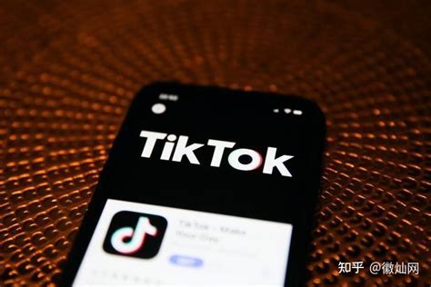如何利用TikTok的免费流量和付费流量做跨境电商引流？让你的店铺每天进站1000人 - 知乎