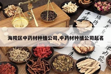 中药合集-快图网-免费PNG图片免抠PNG高清背景素材库kuaipng.com