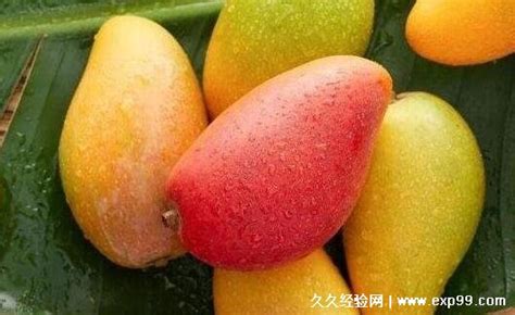 芒果的食用禁忌 吃芒果过敏就这样处理 - 民福康健康