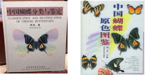 蝴蝶“字典”的故事_澎湃号·政务_澎湃新闻-The Paper
