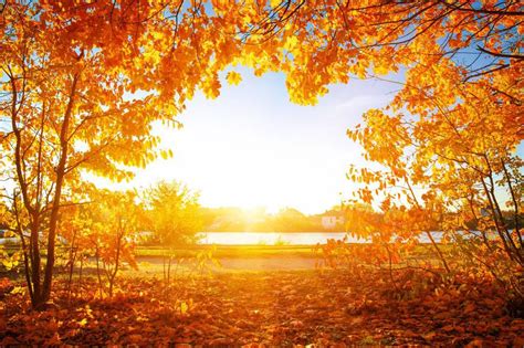 描写秋天的成语 描写秋天的7个成语值得你收藏_知秀网