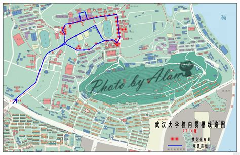 武汉大学卡通版手绘地图|插画|商业插画|PeteZheng - 原创作品 - 站酷 (ZCOOL)