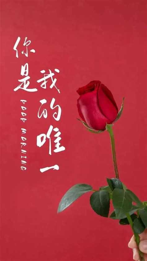 2月14日情人节祝福语大全，情人节快乐问候语