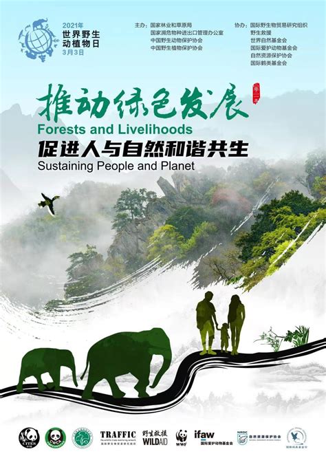 绘就潇湘大地最美生态画卷——湖南代表团代表热议党的二十大报告之八-新湖南