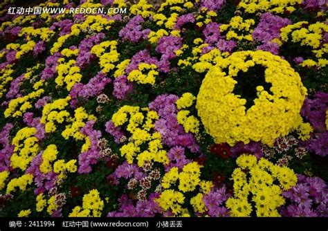 花团锦簇的樱花高清图片下载-正版图片500866046-摄图网
