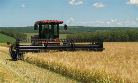“四轮驱动”提升新型农业经营主体服务力 | 农机新闻网,农机新闻,农机,农业机械,拖拉机
