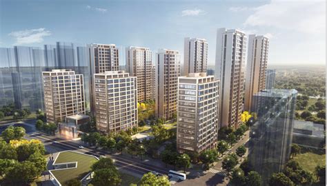 上海市普陀区真北路3725弄84号单元既有多层住宅增设电梯项目规划方案公示_方案_规划资源局