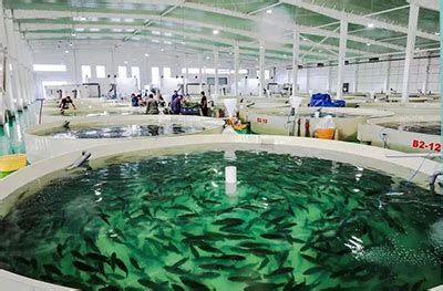 世界海洋日 | 公益讲座共话海洋渔业可持续发展-上海交通大学海洋学院官网-上海交大海洋学院