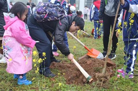 植树节，一起去种树！莒县林水集团开展义务植树活动 - 海报新闻
