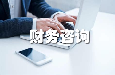 财务咨询_上海市企业服务云
