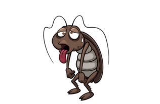 知道吗？发现一只蟑螂，就代表着还有1500只在暗中活动！|蟑螂|线虫|蟑_新浪新闻
