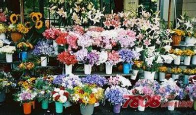 杭州7家花店老板是名大三在校女生 日营业额破4万_杭州网