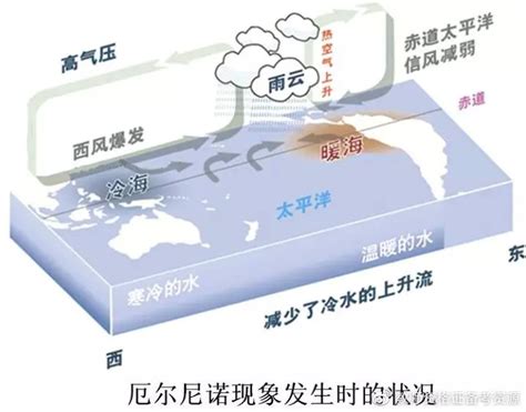 今年厄尔尼诺现象可能成为65年来最强被命名"李小龙"_国际_新闻_青网