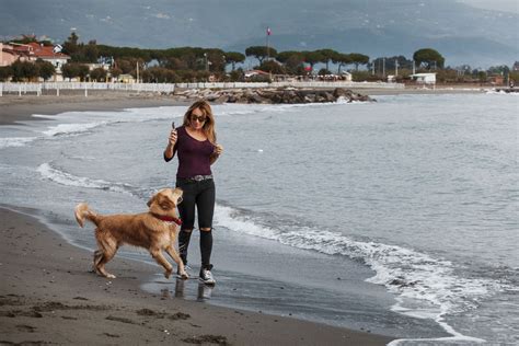 主人和狗在沙滩上玩素材-高清图片-摄影照片-寻图免费打包下载