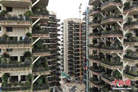 成都建首个“垂直森林”住宅小区 每一户阳台都种绿植_新宁德