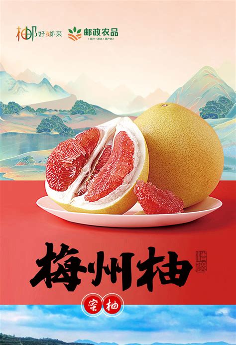 “柚”见丰收！中国柚子看梅州推广活动举行