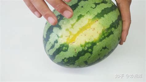 如何挑选西瓜才能保证又脆又好吃，这些小技巧你一定要知道 - 知乎