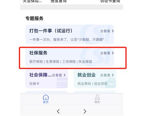 国家社保公共服务平台登录查询网址 si.12333.gov.cn官网入口-星空下载站
