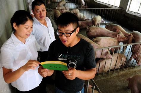 2022年白条猪最新价格今日价多少钱一斤？和普通猪的区别是什么？__财经头条