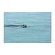 Valdez Alaska In Search For Salmon Photography Art Print/Poster - Bed ...
