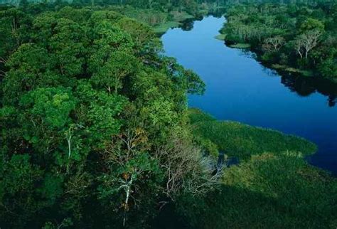 世界上最大的雨林：亚马孙雨林（占地面积为550万平方公里） ... - 旅游达人 - 懂了笔记