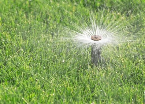 微喷灌溉安装图,微喷安装,简易喷灌技术安装图_大山谷图库
