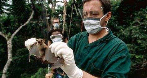 埃博拉疫苗，为什么会被搁置数十年？__凤凰网