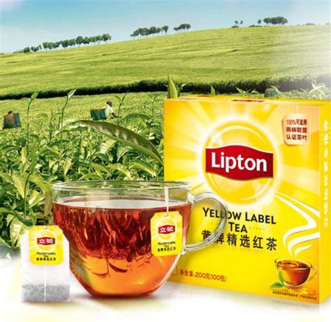【立顿红茶】立顿红茶怎么喝_喝立顿红茶的好处与坏处_绿茶说