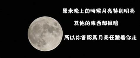 走月亮是什么意思（走月亮重点知识总结） | 布丁导航网