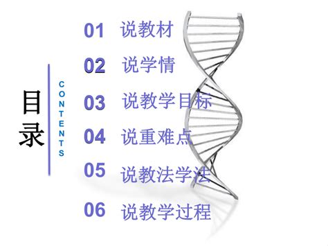 高中生物人教新课标版必修2第3章 基因的本质第2节 DNA分子的结构说课课件24张-21世纪教育网