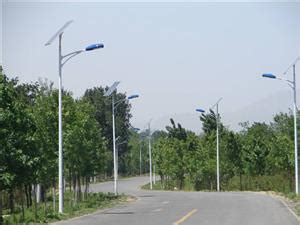 恩施厂家定制LED玉兰灯价格商业广场公园景观道路照明-一步电子网