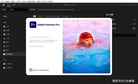 PR书籍2020最新版-中文版Premiere Pro 2020完全案例教程电子版pdf-精品
