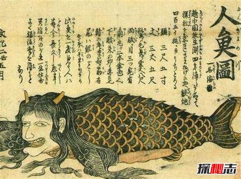 古代美人鱼传说，盘点美人鱼存在的证据_探秘志