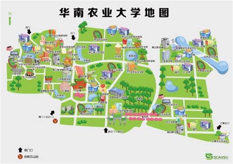 中国农业大学基建处 校园规划 西校区现状图