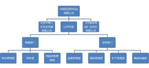 中国百货纺织品有限公司-组织架构