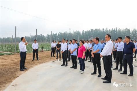 王旭白振海带队观摩崆峒区灵台县 平凉工业园区（高新区）重大项目建设